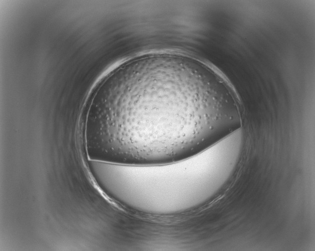 X0000080671053200612150756