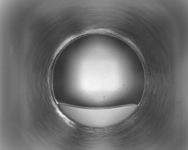 X0000080671054200612150756
