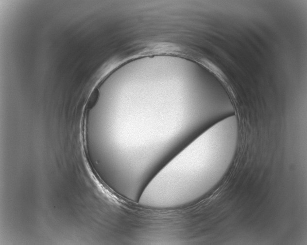 X0000080671055200612150756