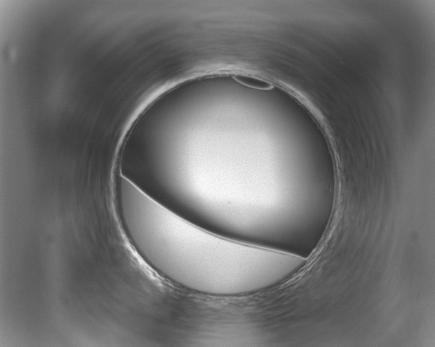 X0000080671056200612150756