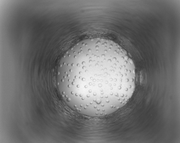 X0000080671059200612150755