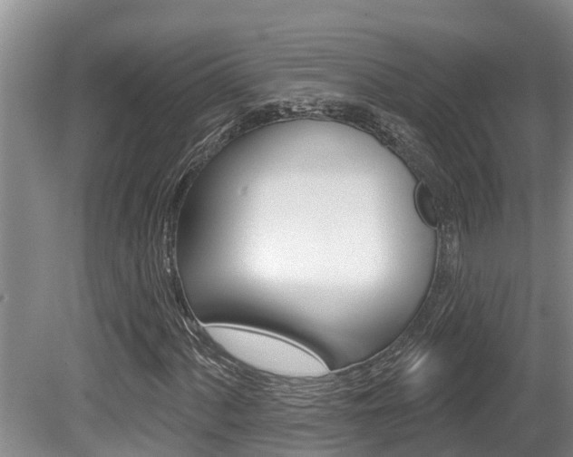 X0000080671060200612150755