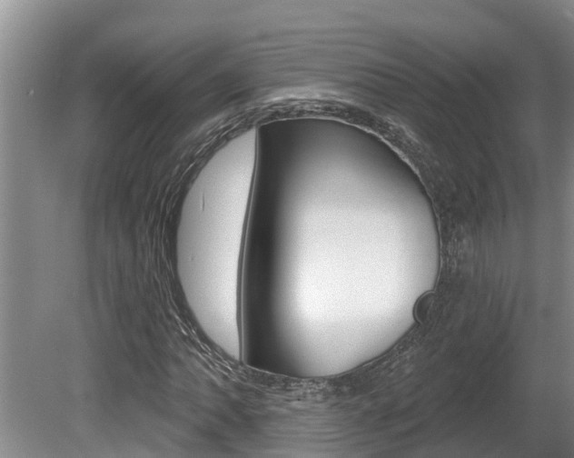 X0000080671062200612150755