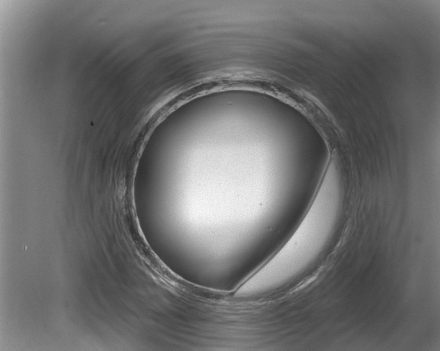 X0000080671065200612150755