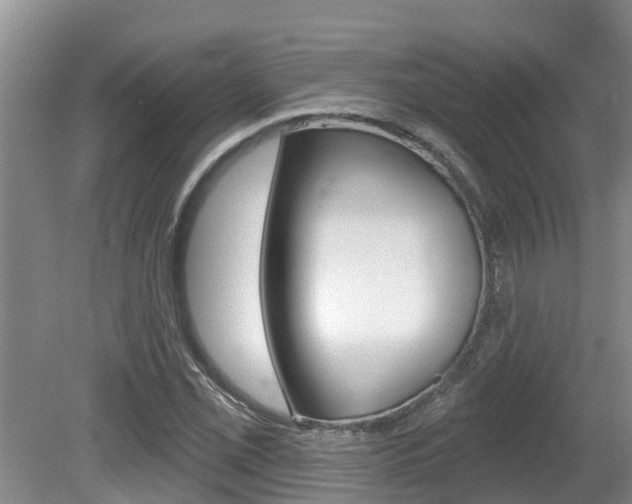X0000080671069200612150755