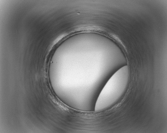 X0000080671071200612150755