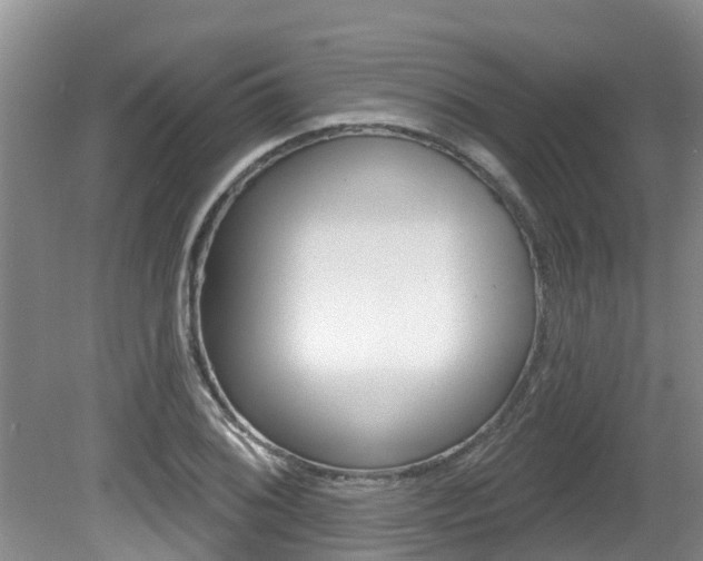 X0000080671076200612150755