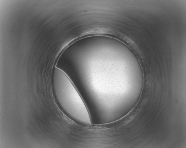 X0000080671081200612150755