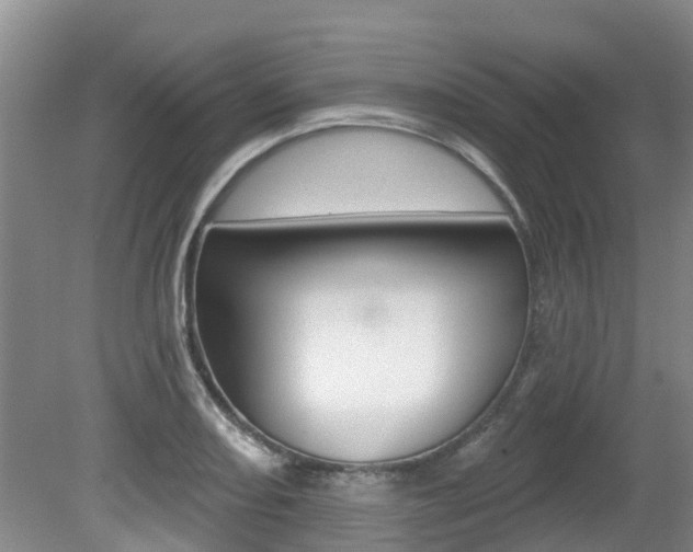 X0000080671082200612150755