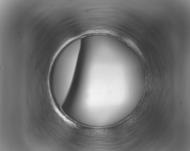 X0000080671084200612150755