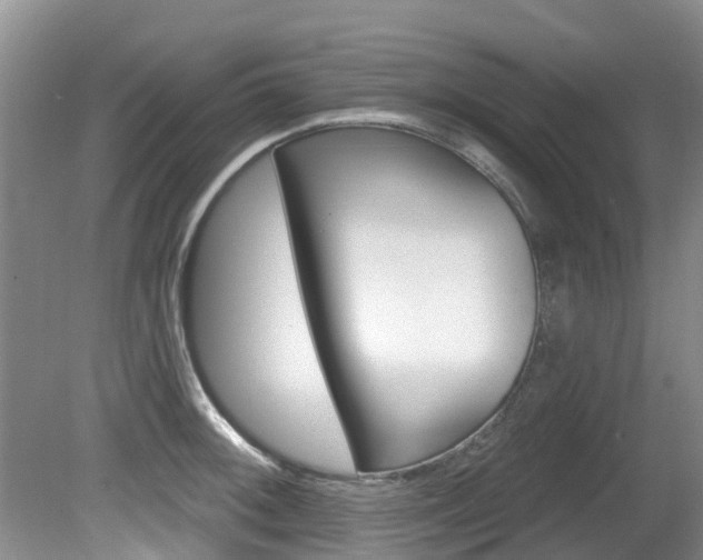 X0000080671092200612150755