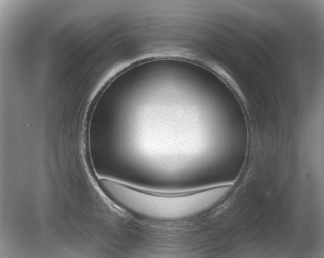 X0000080671093200612150755