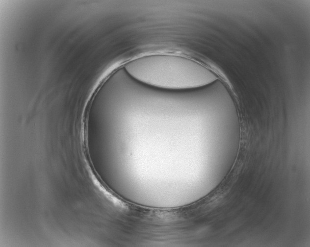 X0000080671095200612150755