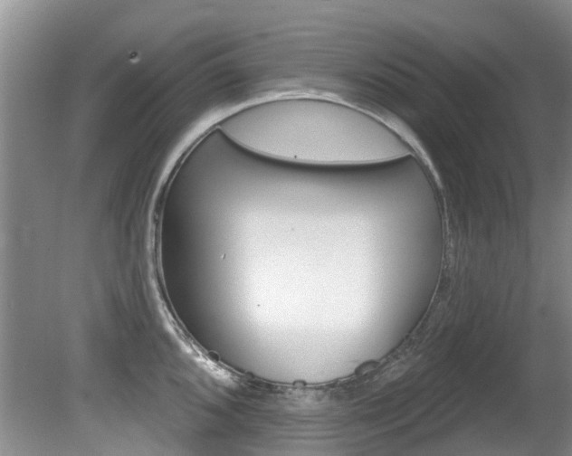 X0000080671096200612150755