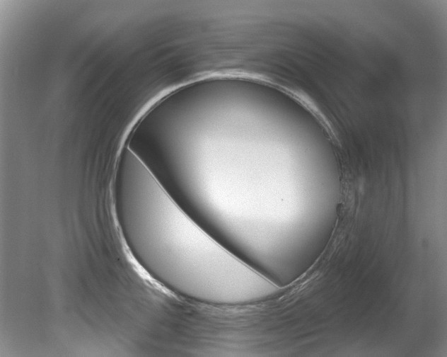 X0000080671100200612150755