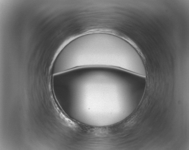 X0000080671102200612150755