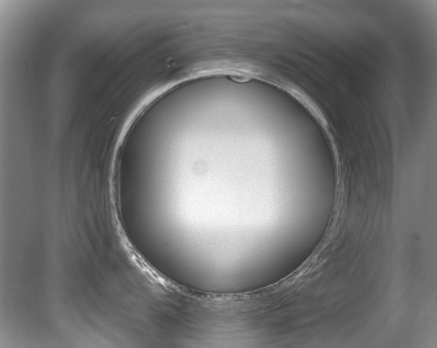 X0000080671104200612150755