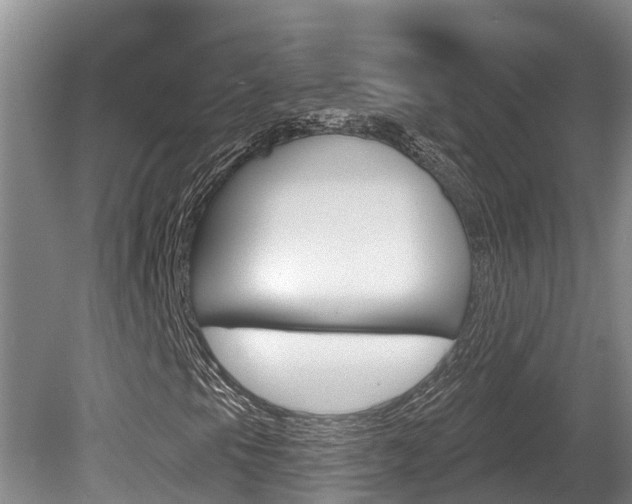 X0000080671105200612150754