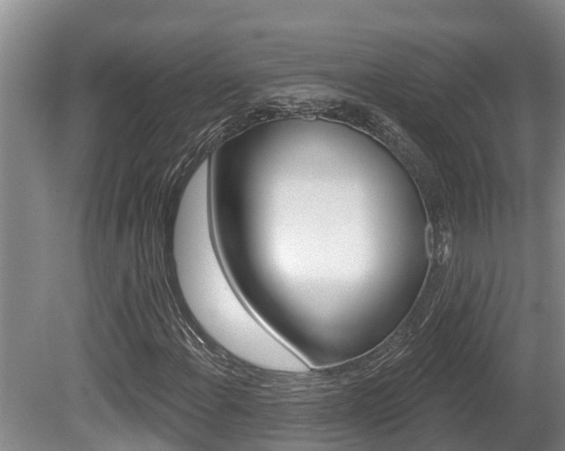 X0000080671108200612150754