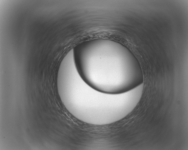 X0000080671109200612150754