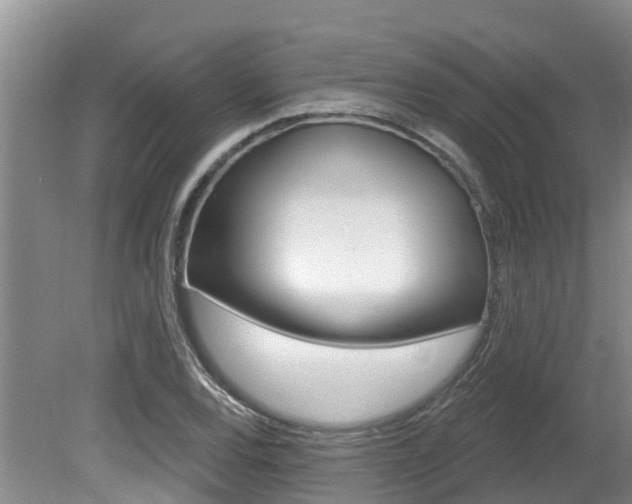 X0000080671120200612150754