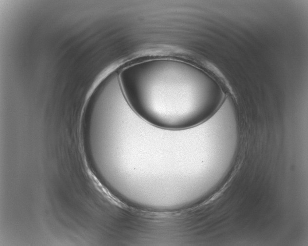 X0000080671122200612150754