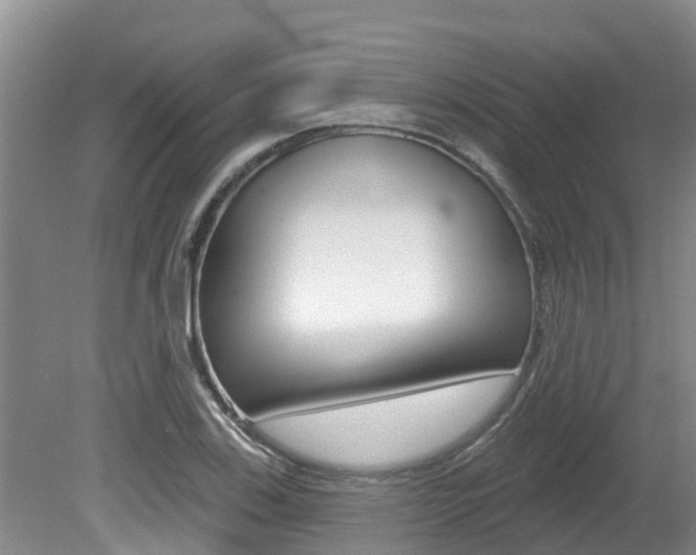 X0000080671123200612150754