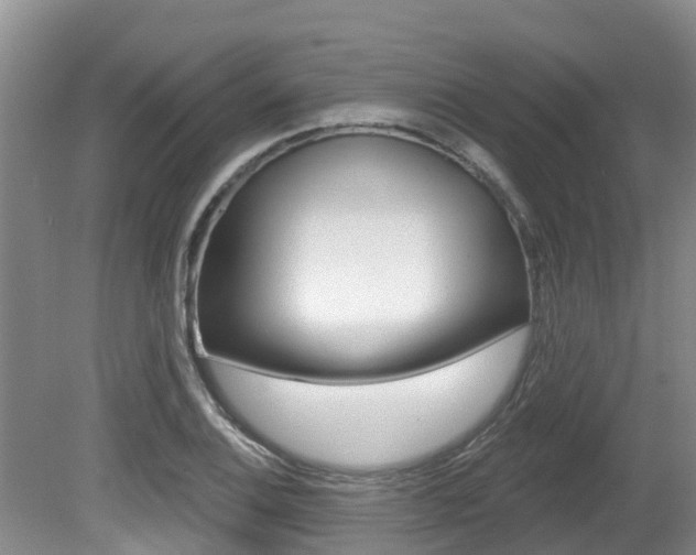 X0000080671124200612150754