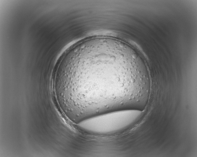 X0000080671125200612150754