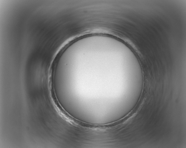 X0000080671126200612150754