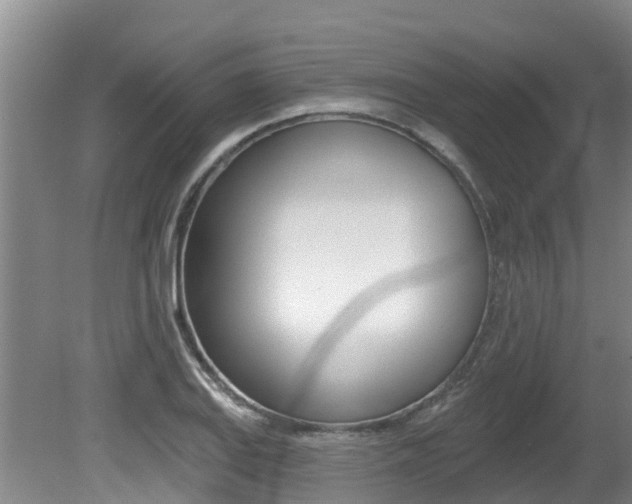 X0000080671127200612150754