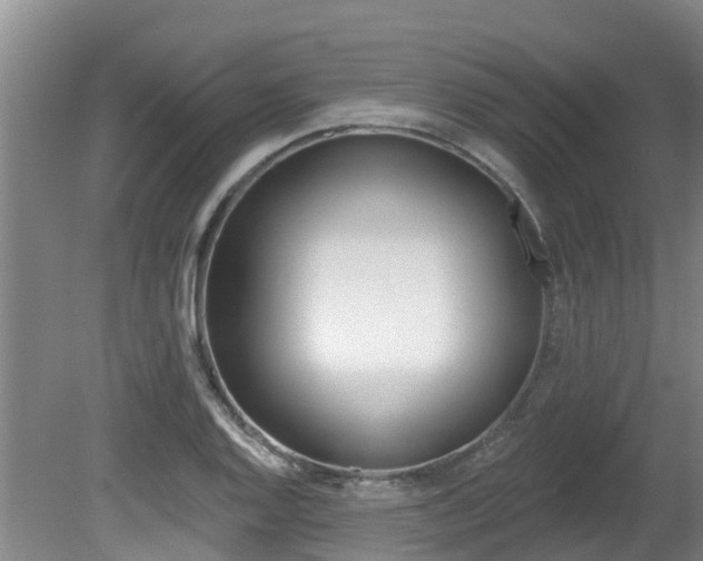 X0000080671128200612150754