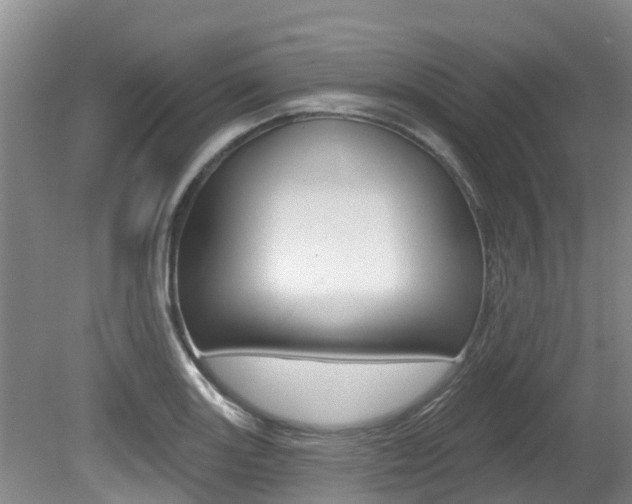 X0000080671131200612150754