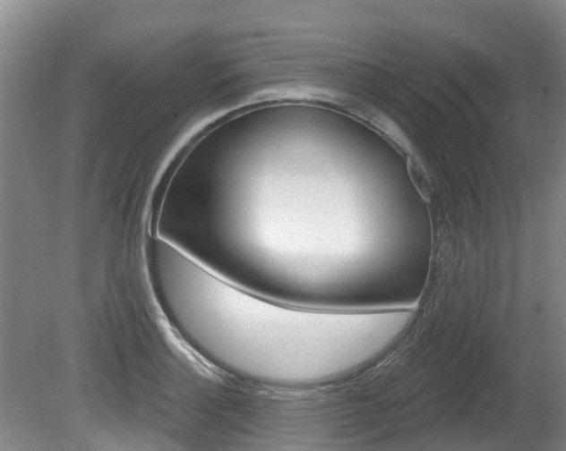 X0000080671132200612150754