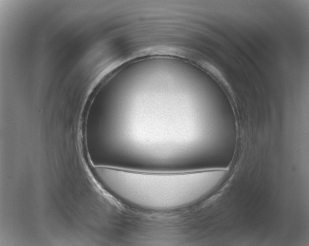 X0000080671133200612150754
