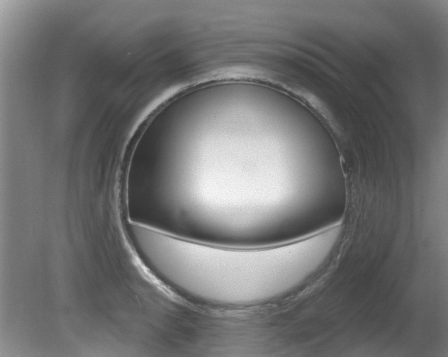 X0000080671134200612150754