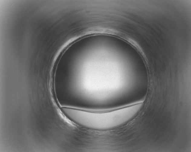 X0000080671136200612150754