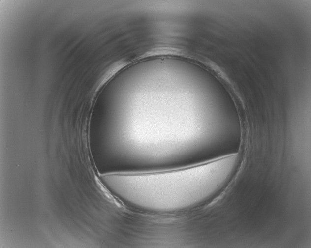 X0000080671137200612150754