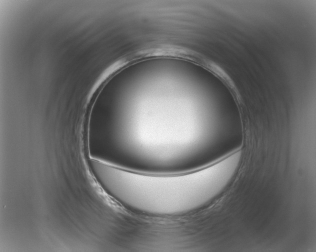 X0000080671138200612150754