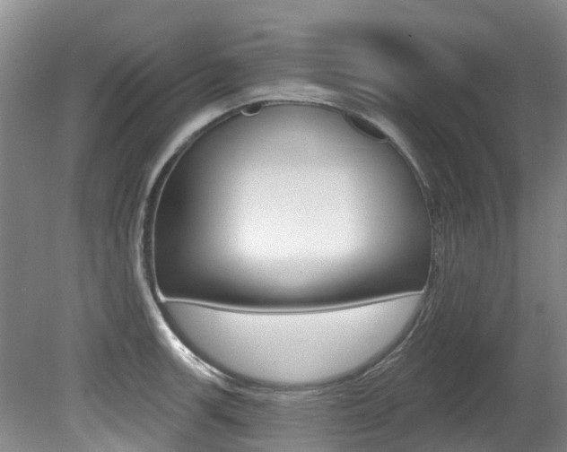X0000080671139200612150754
