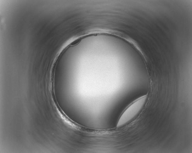 X0000080671143200612150754