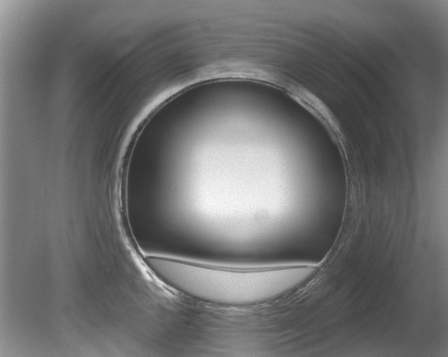 X0000080671144200612150754
