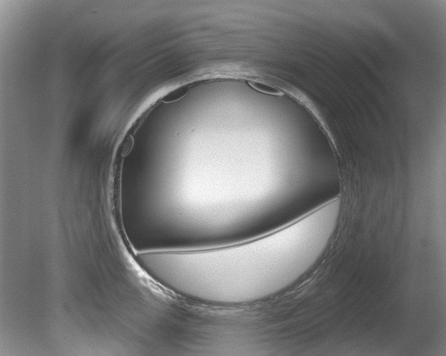 X0000080671147200612150755