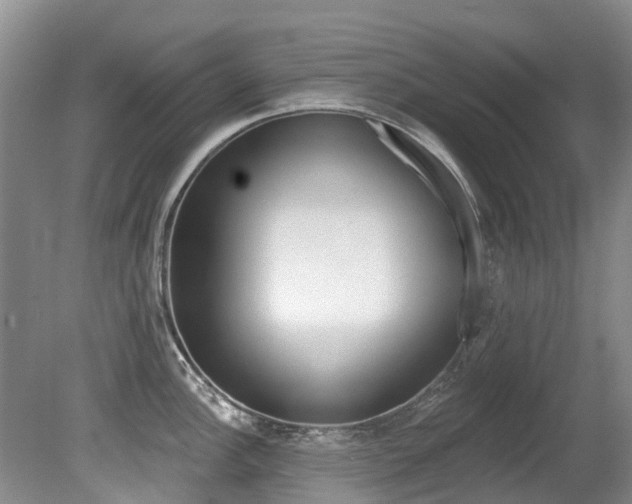 X0000080671148200612150755