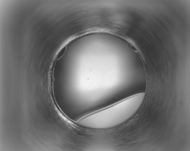 X0000080671151200612150755