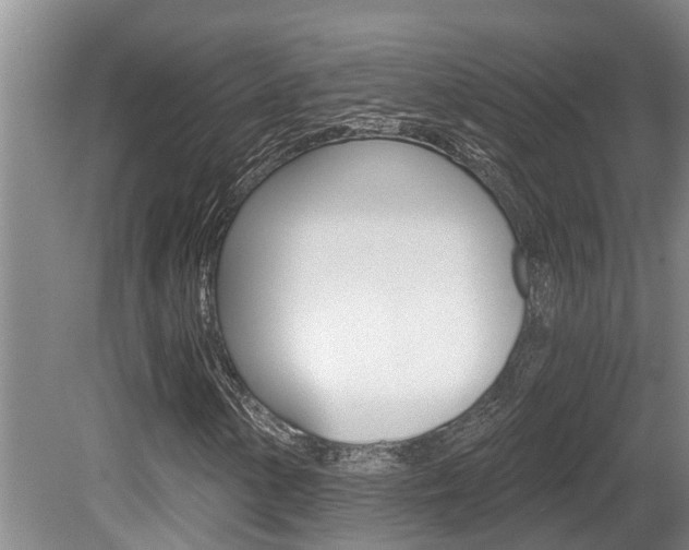 X0000080671154200612150754