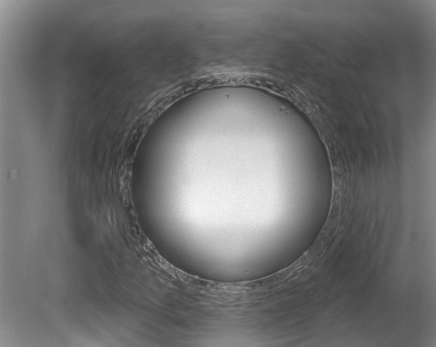 X0000080671157200612150754
