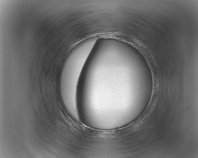 X0000080671161200612150754