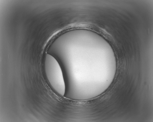 X0000080671166200612150754