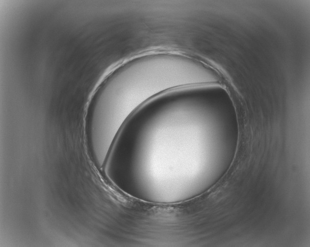 X0000080671168200612150754